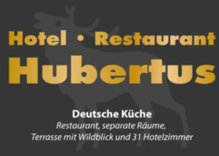 Hotel-restaurant Hubertus 酒店 *
